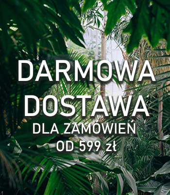 Darmowa dostawa!